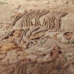 Detail of old fabric